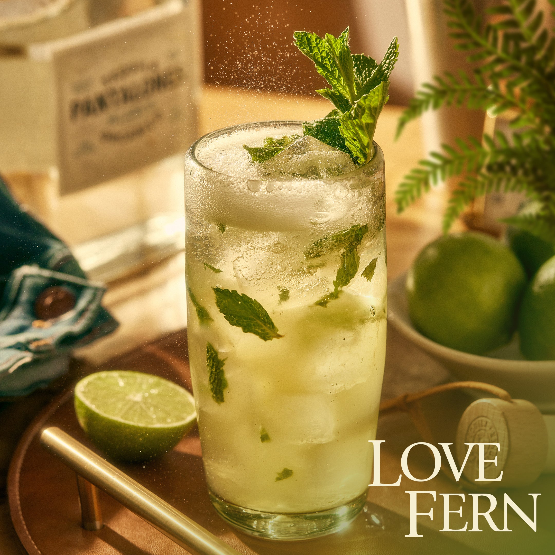 Love Fern